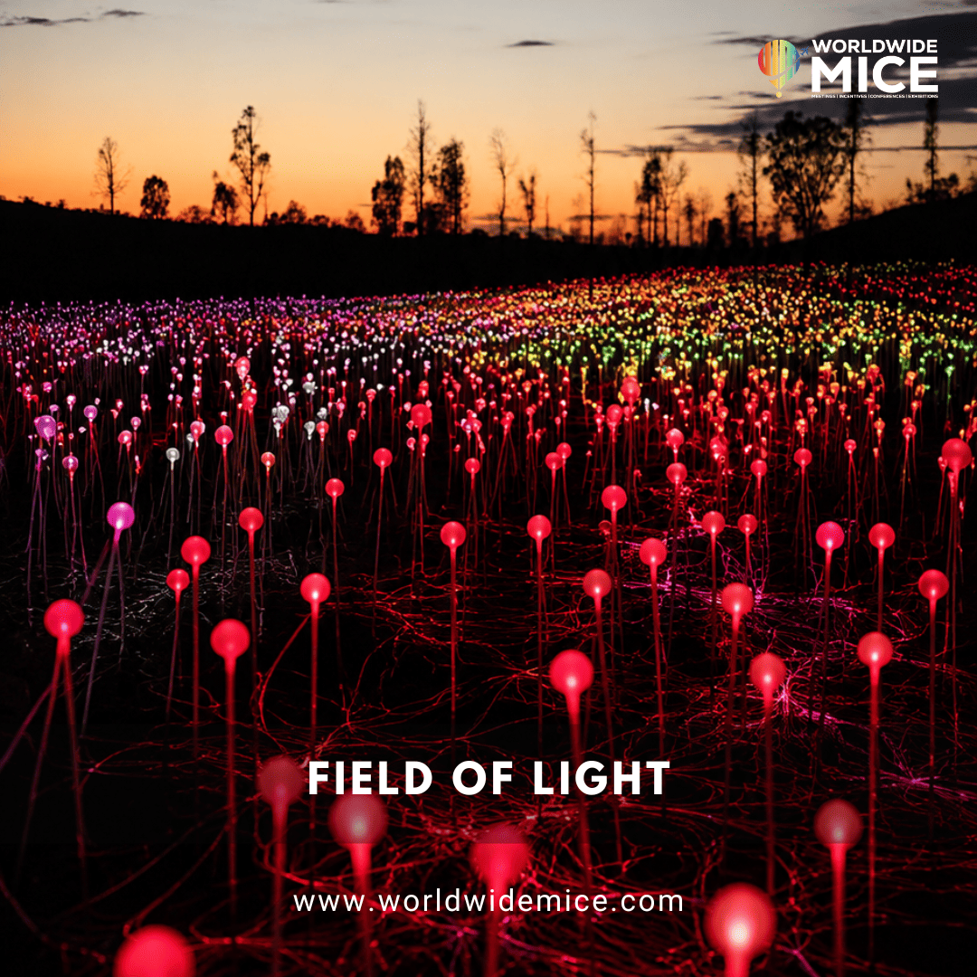 Field of Light